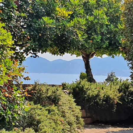 Haus Mit Garten Ueber Der Bucht Von Cannes 瓦洛里 外观 照片