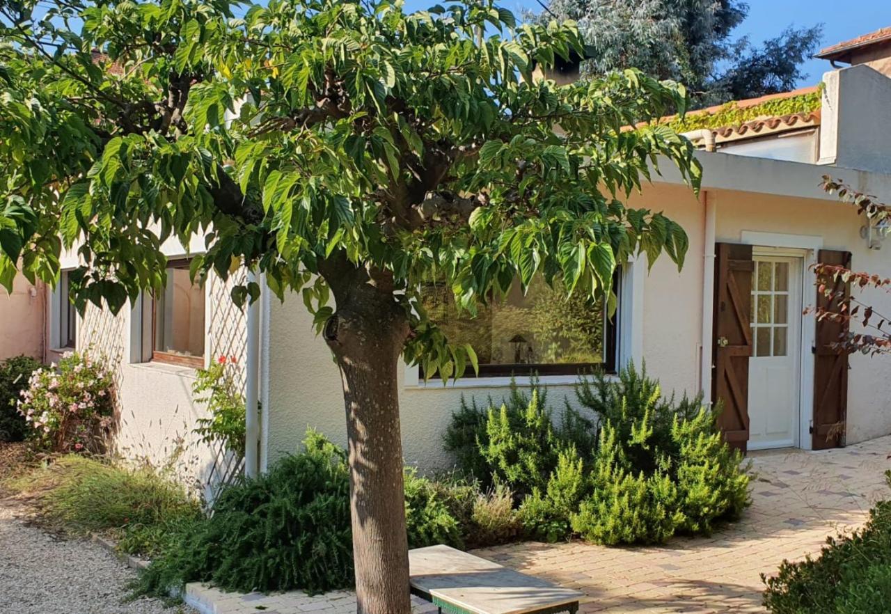 Haus Mit Garten Ueber Der Bucht Von Cannes 瓦洛里 外观 照片