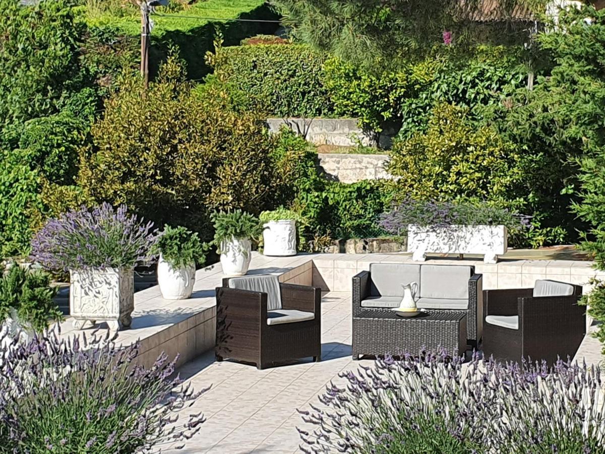 Haus Mit Garten Ueber Der Bucht Von Cannes 瓦洛里 外观 照片